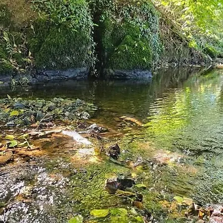 Ancien Moulin Dans Un Cadre Idyllique * La Boissiere-en-Gatine