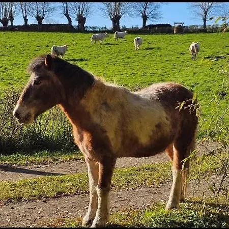Ancien Moulin Dans Un Cadre Idyllique Σπίτι διακοπών La Boissiere-en-Gatine