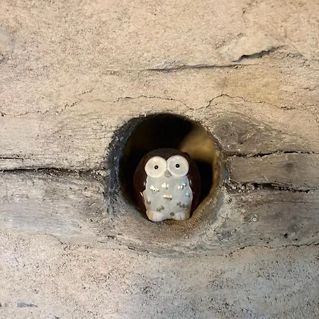 Сasa de vacaciones Ancien Moulin Dans Un Cadre Idyllique