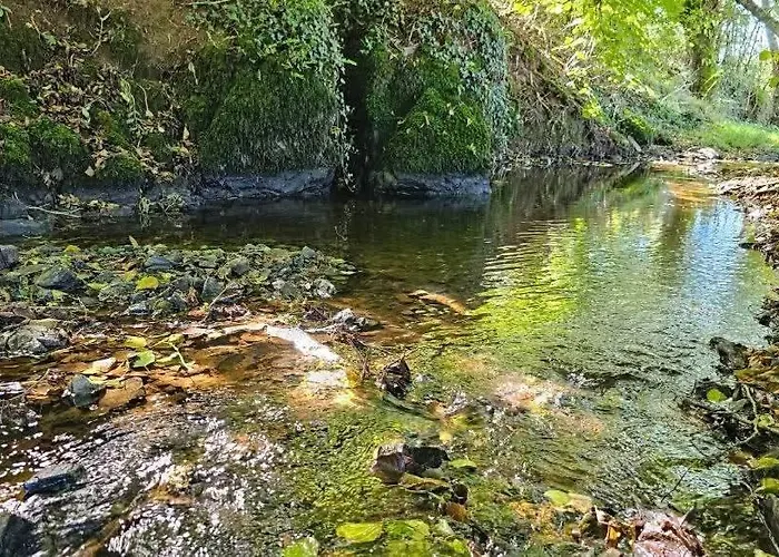 Ancien Moulin Dans Un Cadre Idyllique * La Boissiere-en-Gatine